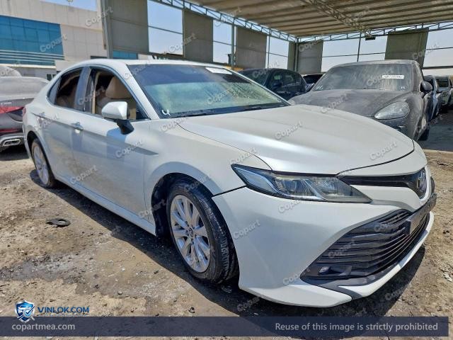 Auction photo