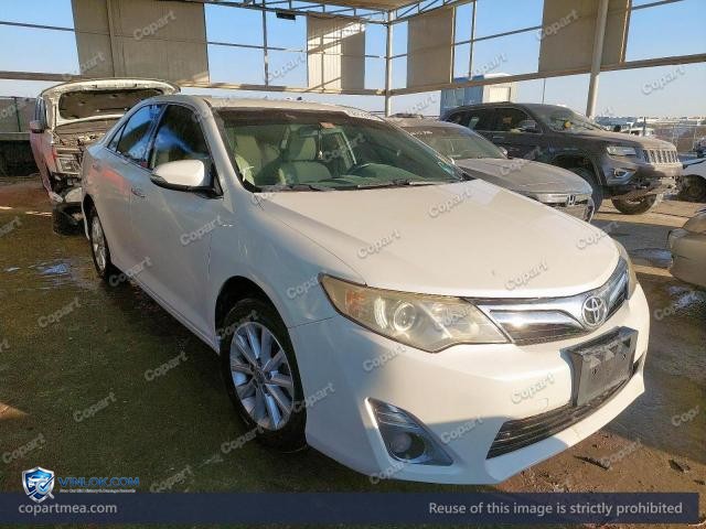 Auction photo
