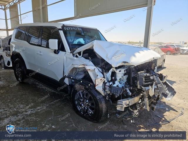 Auction photo