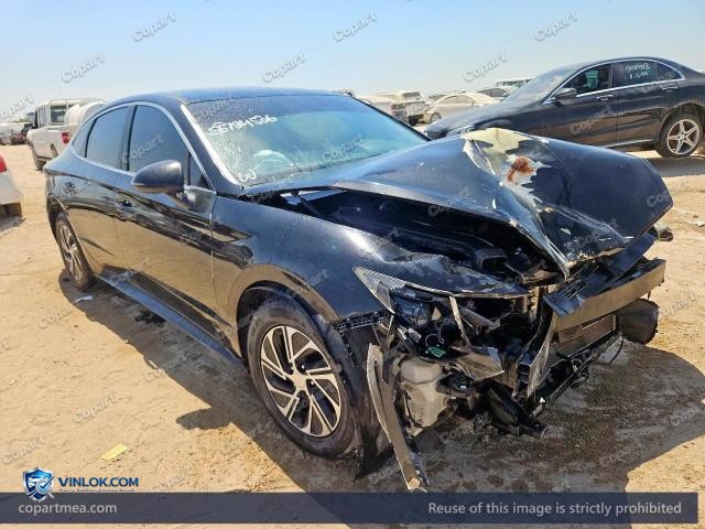 Auction photo
