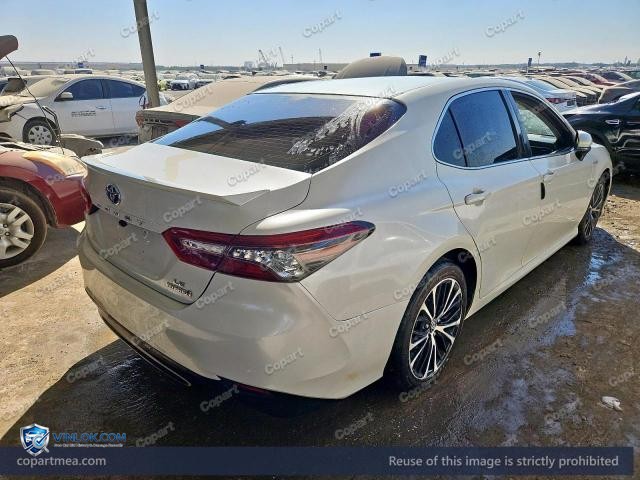 Auction photo