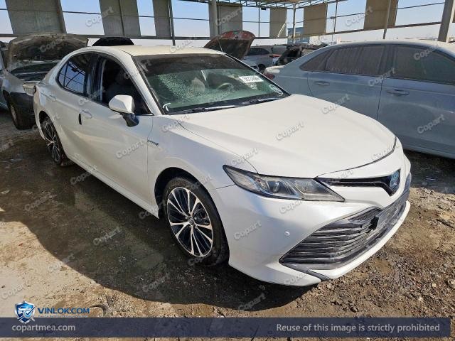 Auction photo