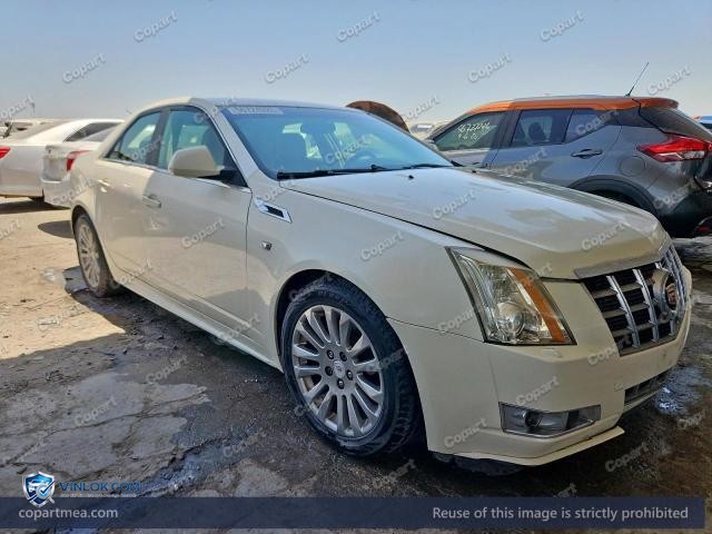 Auction photo