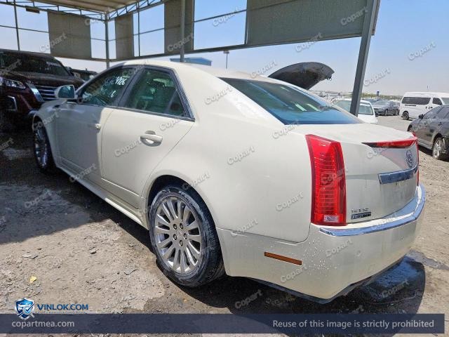 Auction photo