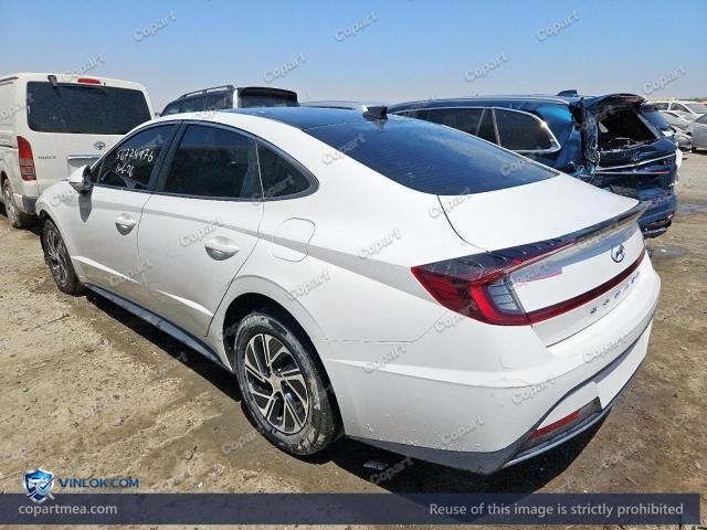 Auction photo