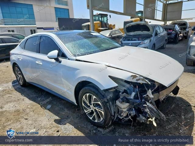 Auction photo