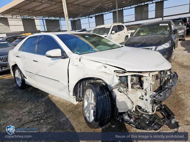 Auction photo