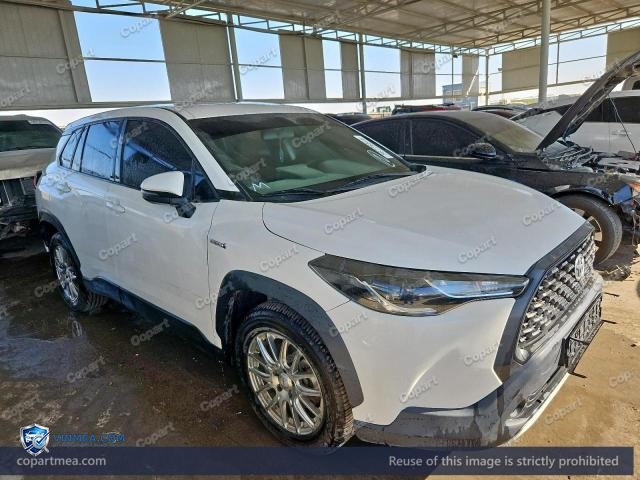 Auction photo