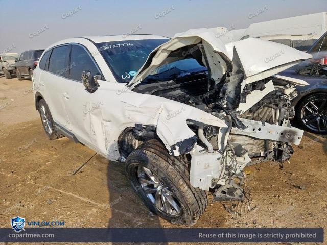 Auction photo
