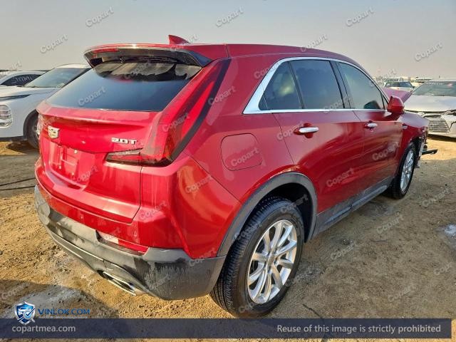 Auction photo