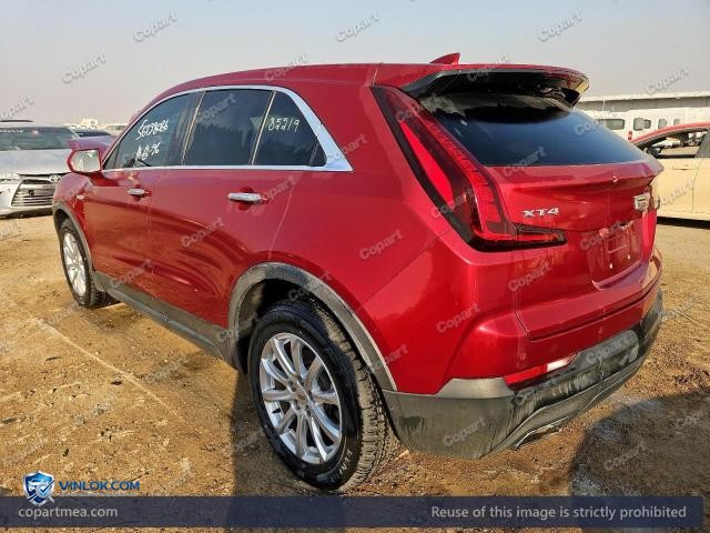 Auction photo