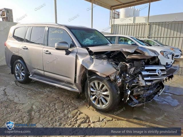 Auction photo