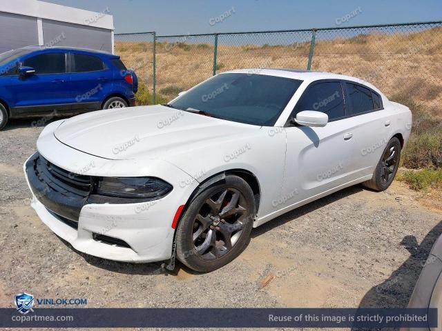 Auction photo