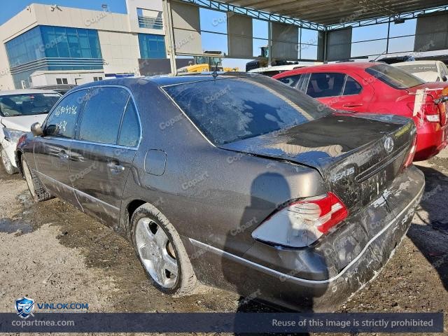 Auction photo
