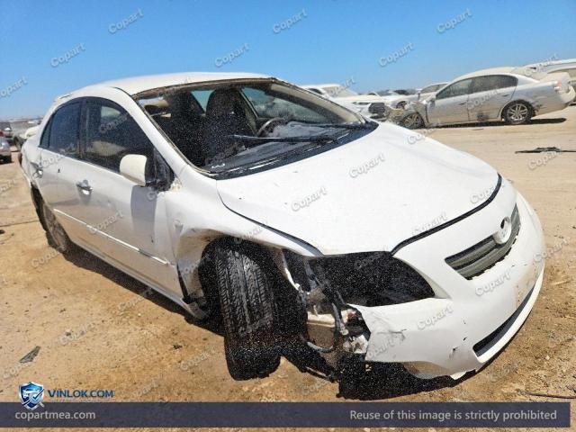 Auction photo
