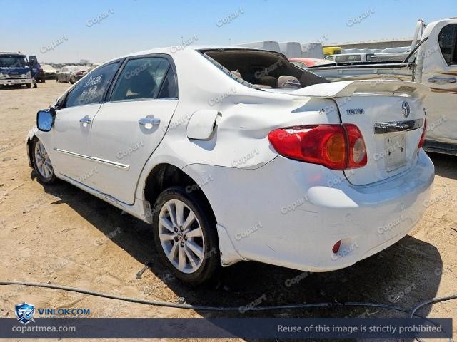 Auction photo