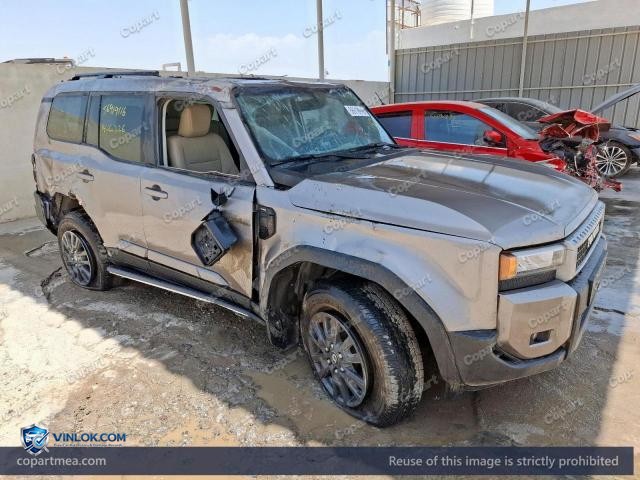 Auction photo