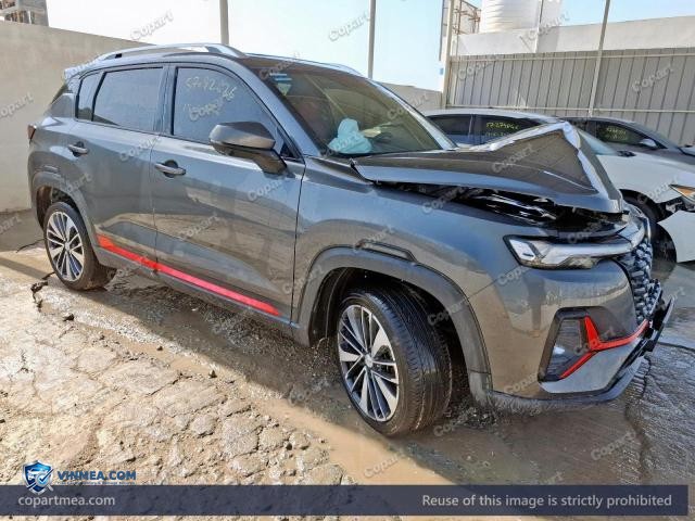2023 CHAN CS35 — Lot 57092626 auction photo