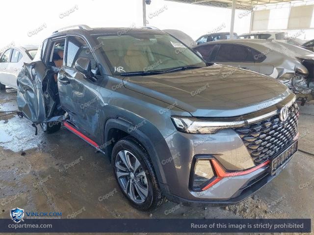 2025 CHAN CS35 — Lot 57092856 auction photo