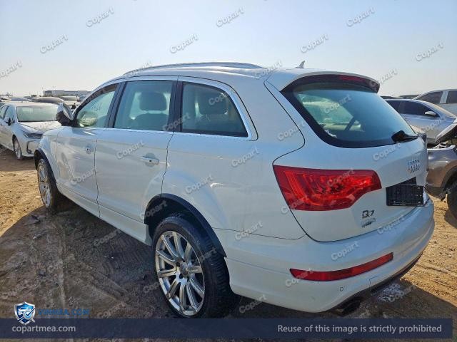 Auction photo