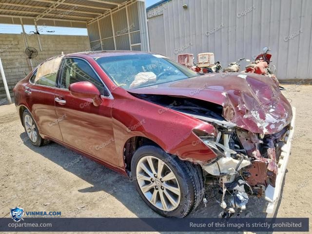 Auction photo