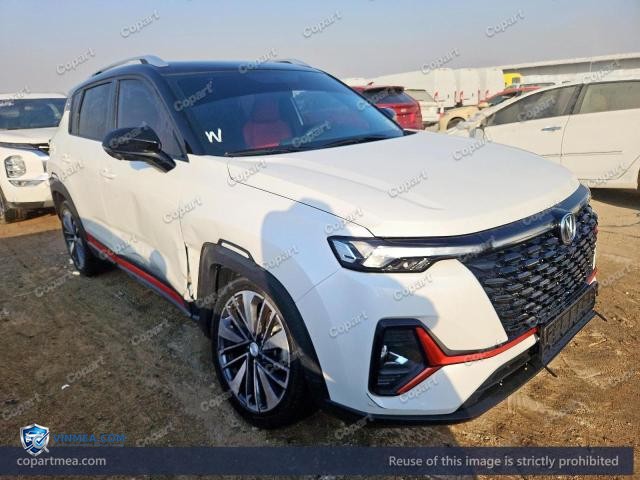 2025 CHAN CS35 — Lot 57113506 auction photo