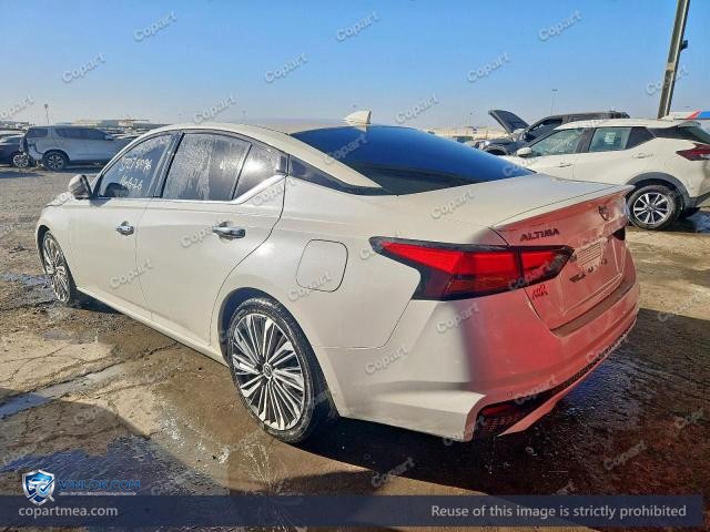 Auction photo