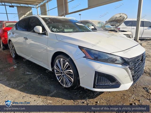 Auction photo