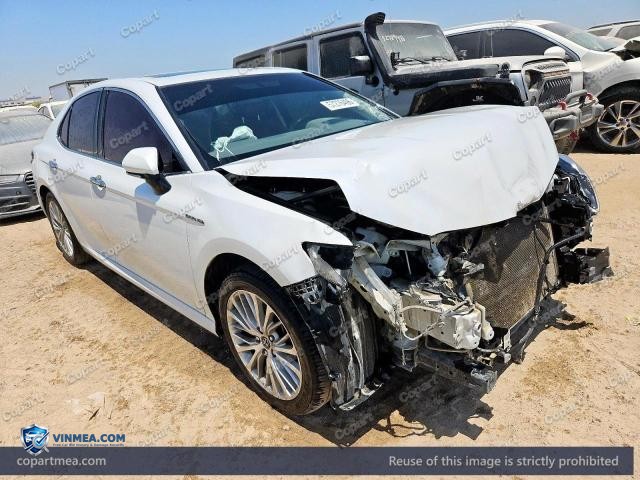 Auction photo
