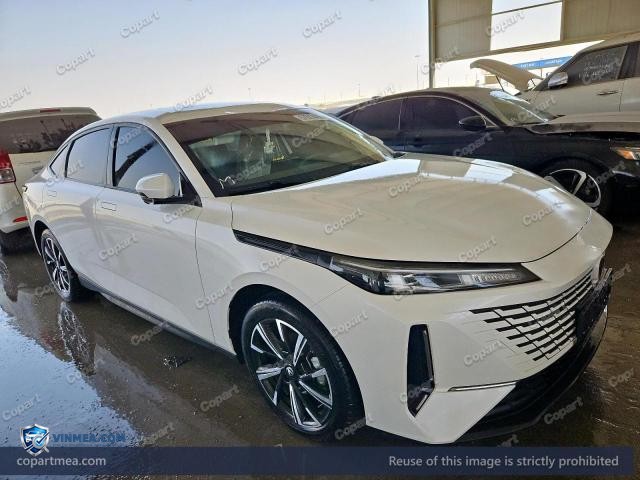 2025 CHAN EADO — Lot 57277476 auction photo