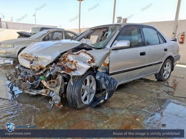 Auction photo