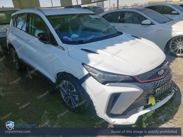 2025 GEEL COOLRAY — Lot 57280556 auction photo