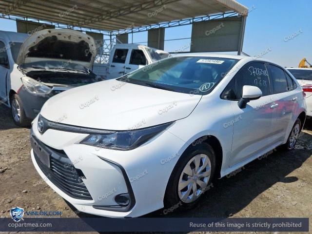 Auction photo