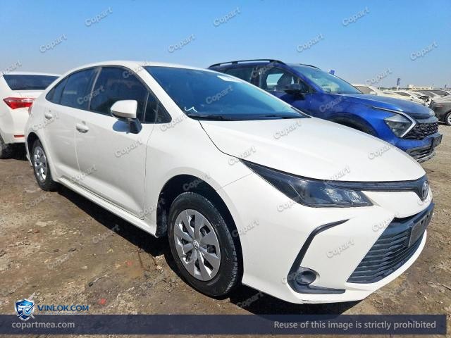 Auction photo
