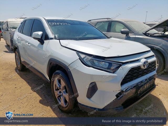 Auction photo
