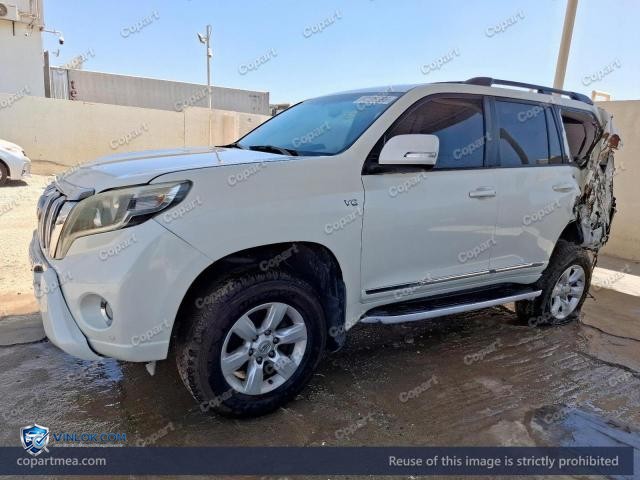 Auction photo