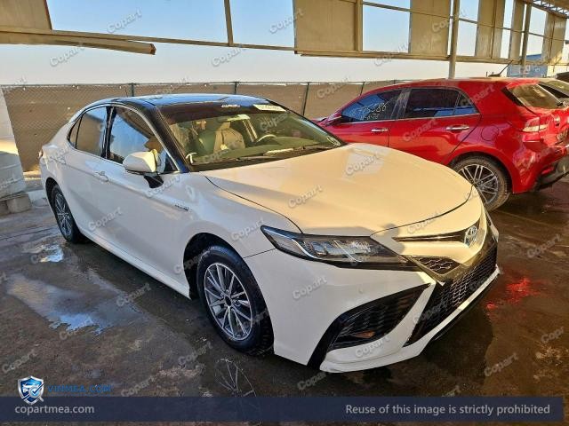 Auction photo