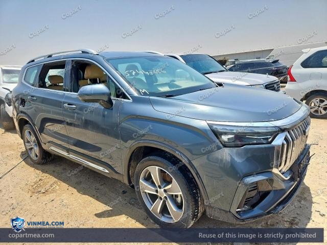 2025 GEELY OKAVANGO — Lot 57447656 auction photo
