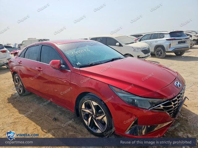 Auction photo