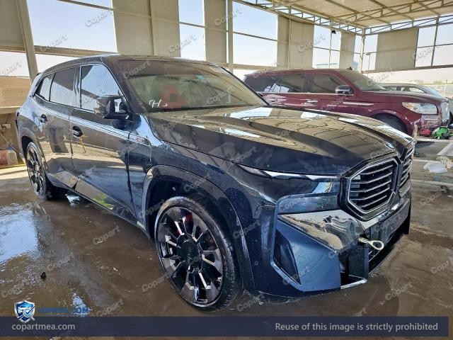 2024 BMW XM — Lot 57612696 auction photo