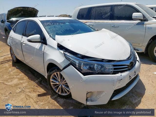 Auction photo