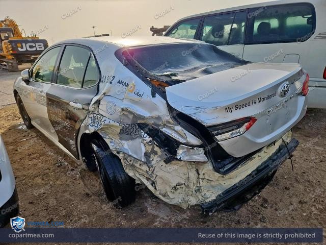 Auction photo