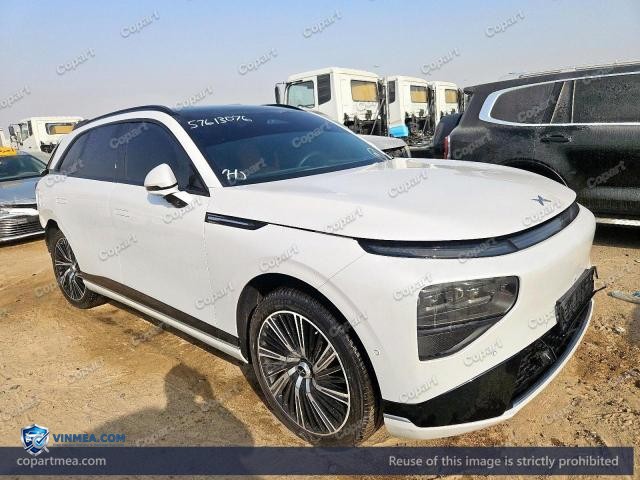 2022 XPNG G9 — Lot 57613076 auction photo