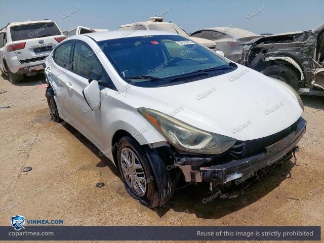 Auction photo