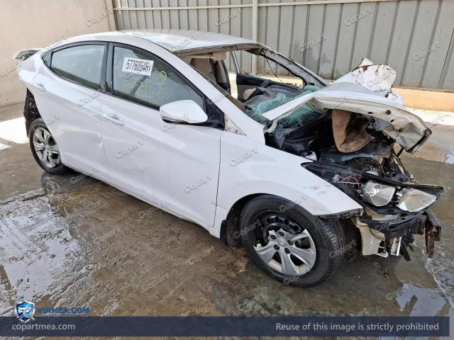 Auction photo