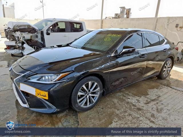 Auction photo