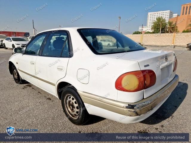 Auction photo