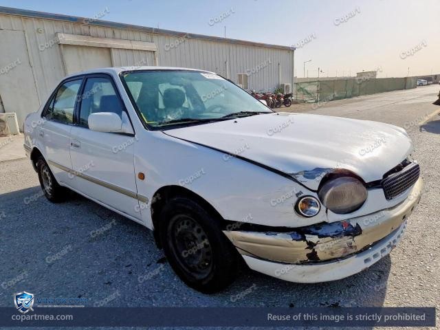 Auction photo