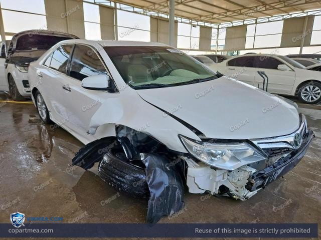 Auction photo