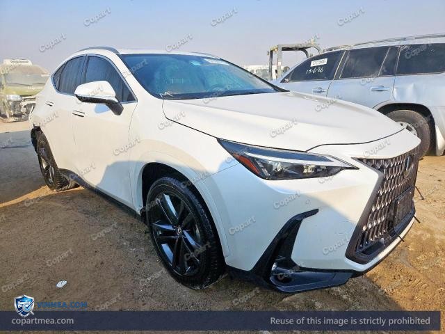 2025 LEXUS NX — Lot 57798776 auction photo